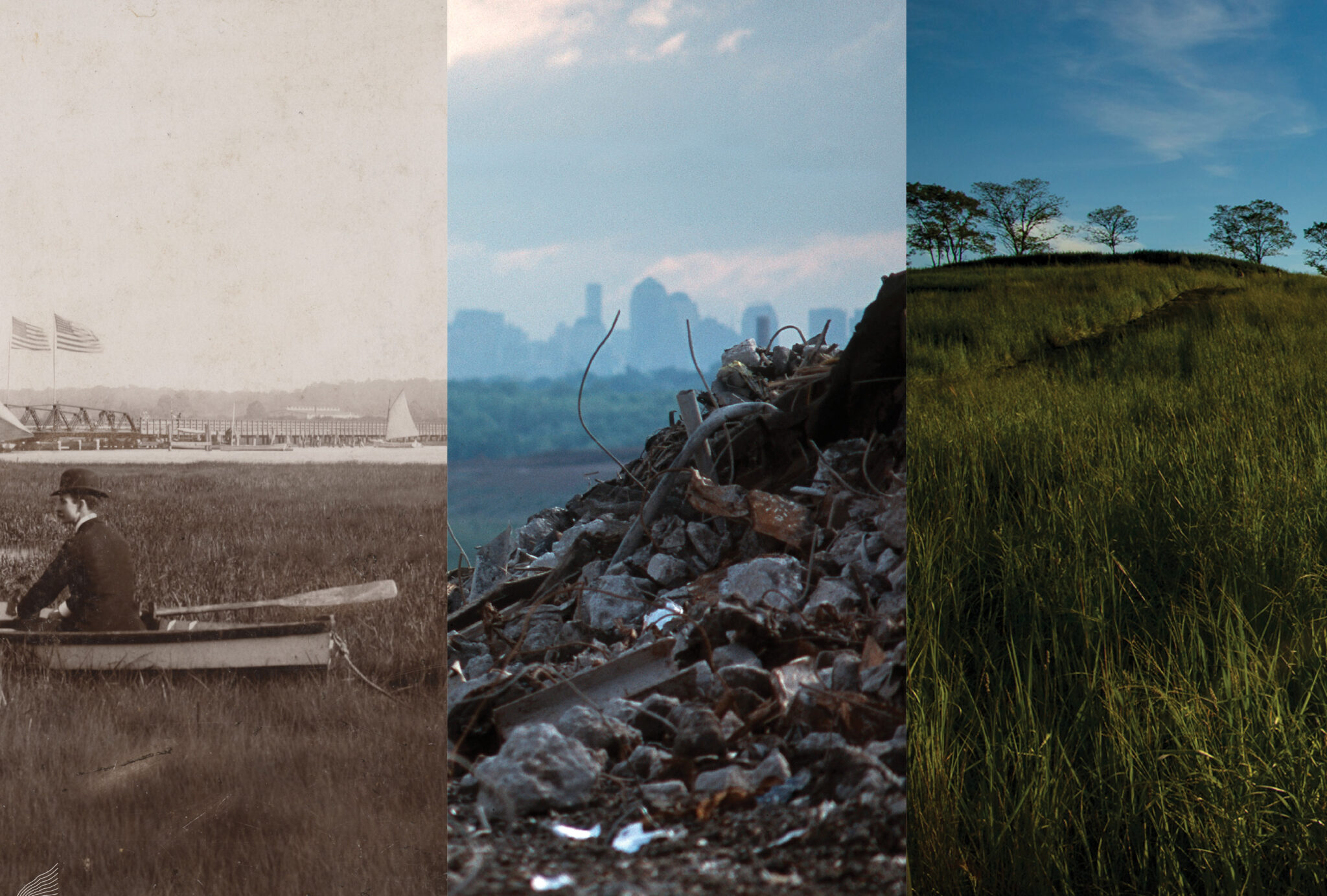 InPlainView-BrochurePoster