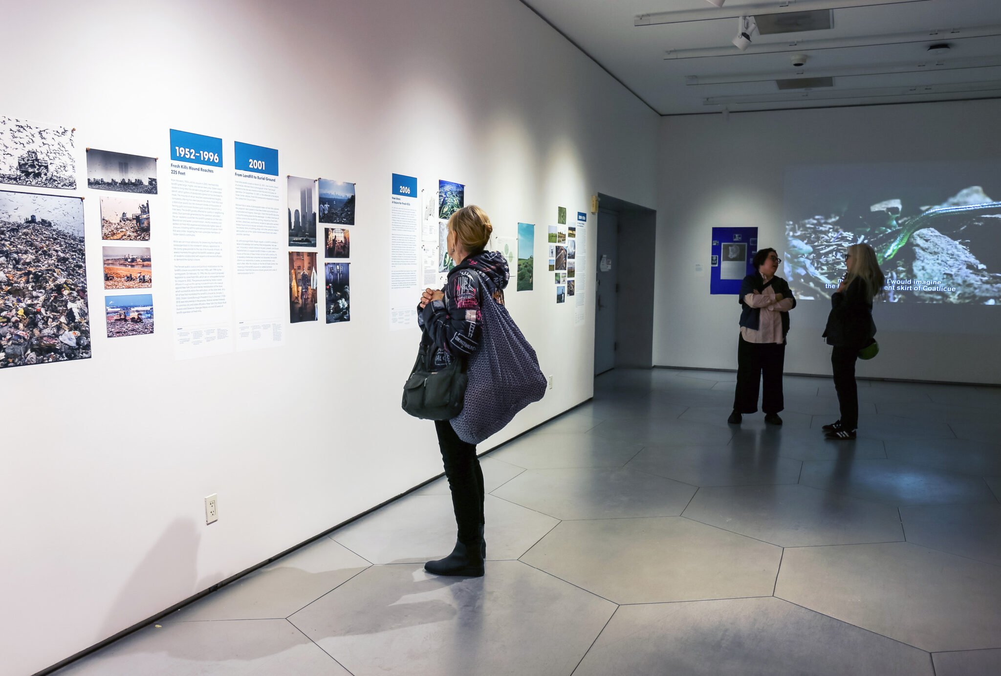 InPlainView-Opening2